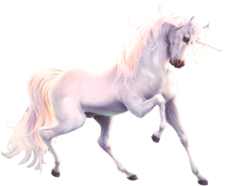 A white unicorn facing to the right