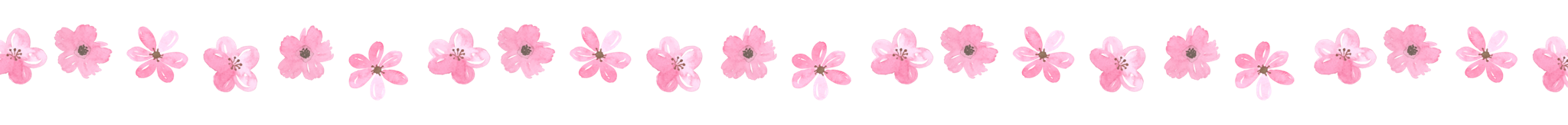 pink flower divider